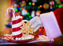 Comprar Paneres de Nadal – ¿Necessites comprar Paneres de Nadal? Tenim Paneres de Nadal