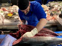 PEIXATERIES GOURMET ANDORRA PEIX I MARISC FRESC DE LES MILLORS LLOTGES - Estem davant de la CASS