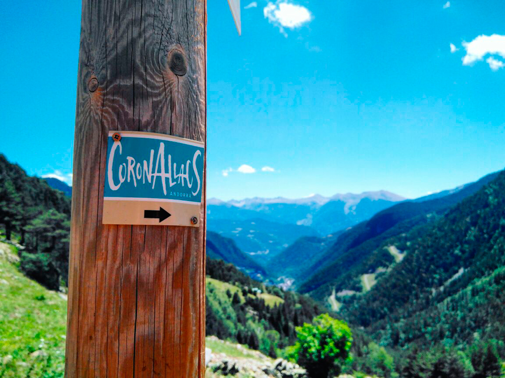 El públic de Google continua sent la font de trànsit número 1 en termes de CERCADORS digitals. SEO: Posicionament natural: 5 pilars per optimitzar el vostre lloc per SEO - 5 pilars per optimitzar el vostre lloc. El públic de Google continua sent la font de trànsit número 1 en termes de CERCADORS digitals. Per exemple, el SEO representa una mica més del 60% del nostre públic. El SEO, a més d’aportar trànsit qualificat, us proporciona trànsit a llarg termini. Per tant, és crucial fer accions periòdiques per optimitzar la visibilitat del vostre lloc als resultats del motor de cerca. Per començar, col·loqueu aquests 5 pilars al seu lloc ... Per aprendre SEO, no dubteu a fer la nostra formació SEO en línia o el nostre curs de "webmarketing" d’una setmana que inclou dos dies de formació SEO. T.+33786568901 El públic de Google continua sent la font de trànsit número 1 en termes de CERCADORS digitals.