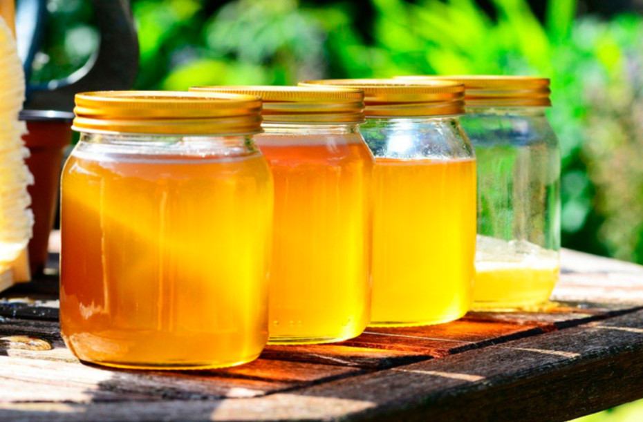 Casa Folch Casa Folch