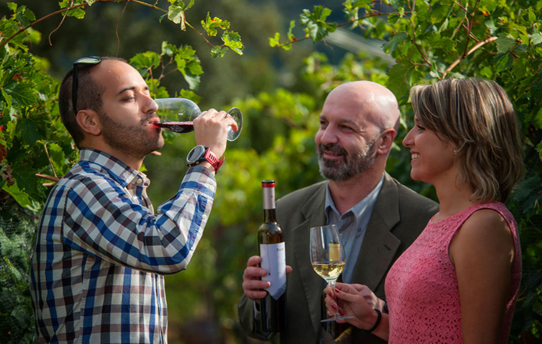 BORDA SABATÉ BORDA SABATÉ