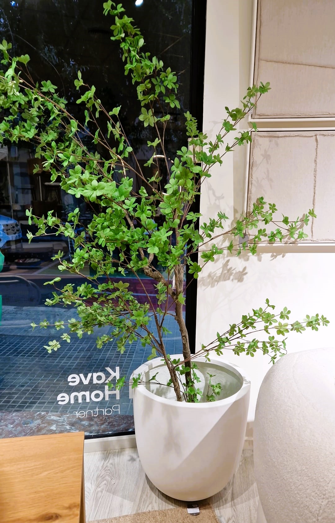 KAVE HOME Maceteros by KAVE HOME PARTNER VILANOVA | CA GRUP INTERIORS VILANOVA | www.cassone.es  .No vivir en el campo no implica que no vivas rodeado de naturaleza. Llena nuestros maceteros con plantas y más plantas. La tendencia ahora es verlas en nuestros interiores para hacer más verdes nuestras casas.